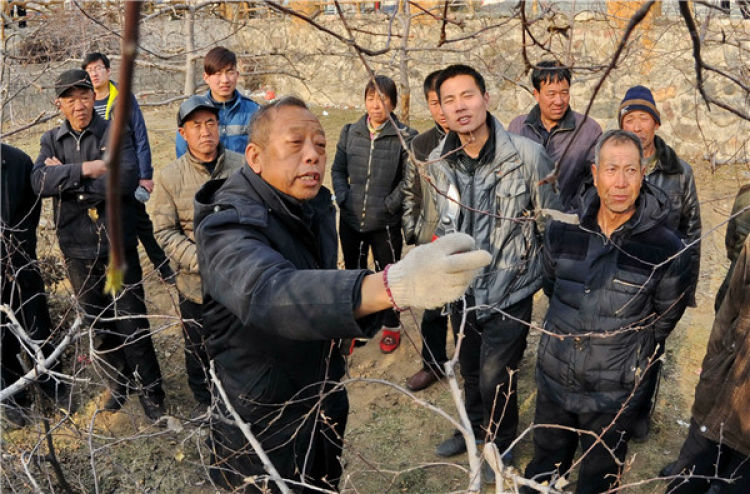 　　李保國（前左）在河北省內(nèi)丘縣崗底村向村民講解果樹修剪知識（2016年1月27日攝）。新華社記者 朱旭東 攝